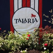 2009 Egyptian Event - Tuesday