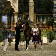 2009 Egyptian Event - Tuesday