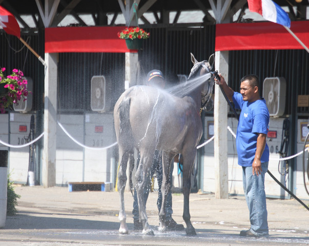 2009 Egyptian Event - Tuesday