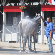 2009 Egyptian Event - Tuesday