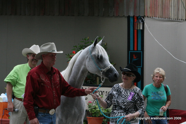 2009 Egyptian Event - Barn Parties