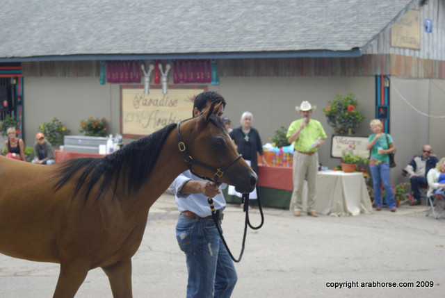 2009 Egyptian Event - Barn Parties
