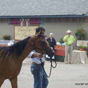 2009 Egyptian Event - Barn Parties