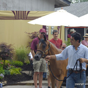 2009 Egyptian Event - Barn Parties