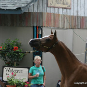2009 Egyptian Event - Barn Parties