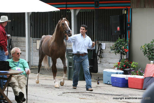 2009 Egyptian Event - Barn Parties