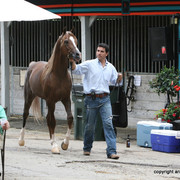2009 Egyptian Event - Barn Parties