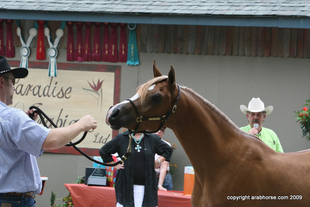 2009 Egyptian Event - Barn Parties
