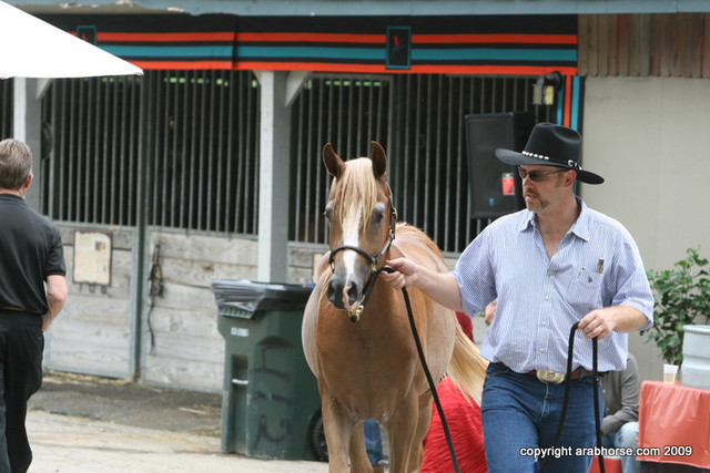 2009 Egyptian Event - Barn Parties