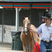 2009 Egyptian Event - Barn Parties