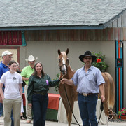 2009 Egyptian Event - Barn Parties