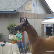 2009 Egyptian Event - Barn Parties