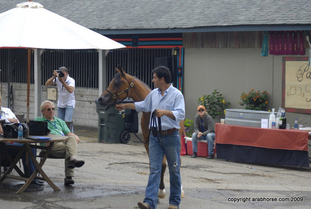 2009 Egyptian Event - Barn Parties