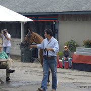 2009 Egyptian Event - Barn Parties