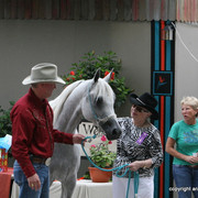 2009 Egyptian Event - Barn Parties