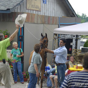 2009 Egyptian Event - Barn Parties