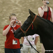 2009 Egyptian Event - Stallion Showcase
