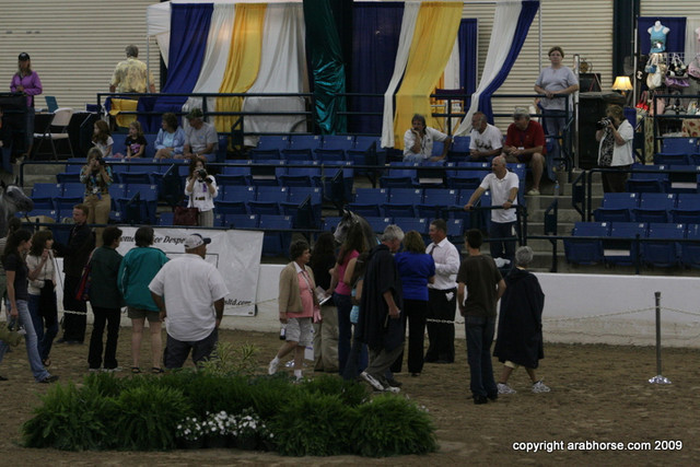 2009 Egyptian Event - Stallion Showcase