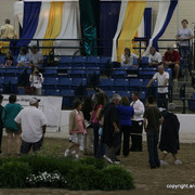 2009 Egyptian Event - Stallion Showcase