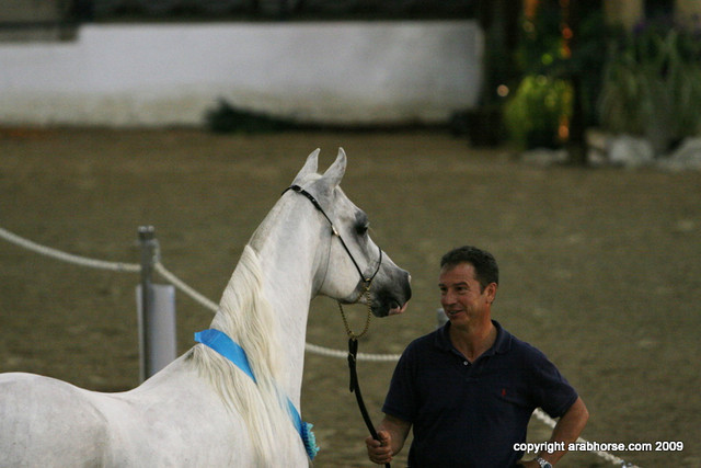 2009 Egyptian Event - Stallion Showcase
