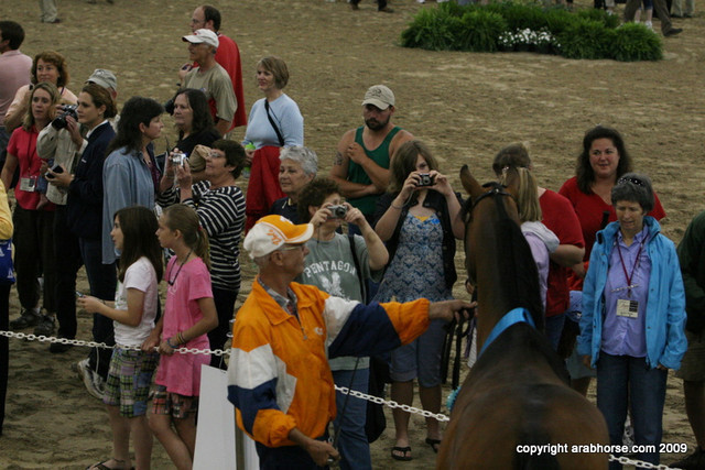 2009 Egyptian Event - Stallion Showcase