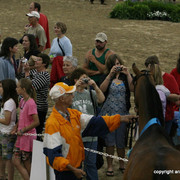 2009 Egyptian Event - Stallion Showcase