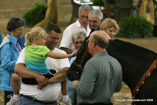 2009 Egyptian Event - Stallion Showcase
