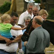 2009 Egyptian Event - Stallion Showcase