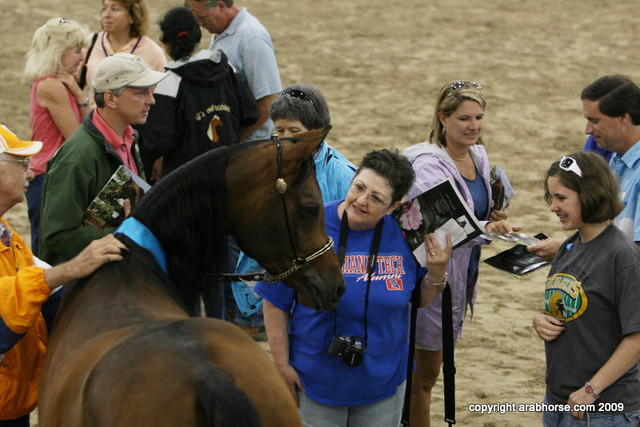 2009 Egyptian Event - Stallion Showcase