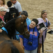 2009 Egyptian Event - Stallion Showcase