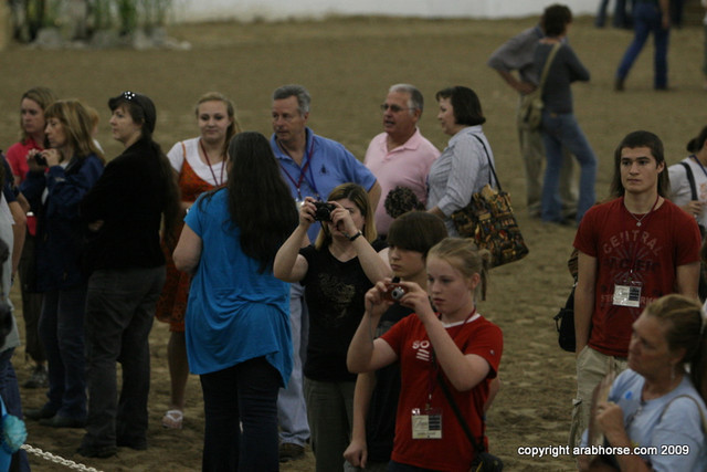 2009 Egyptian Event - Stallion Showcase