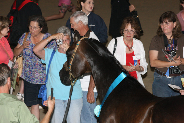 2009 Egyptian Event - Wednesday