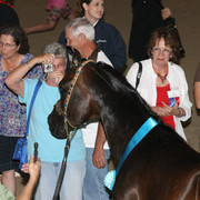 2009 Egyptian Event - Wednesday