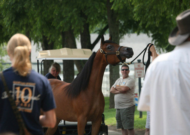 2009 Egyptian Event - Wednesday