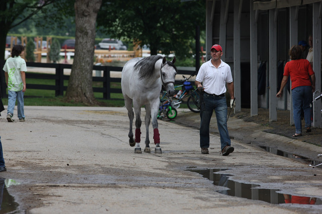 2009 Egyptian Event - Wednesday