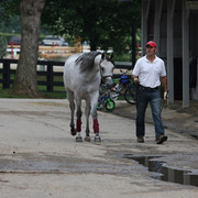 2009 Egyptian Event - Wednesday