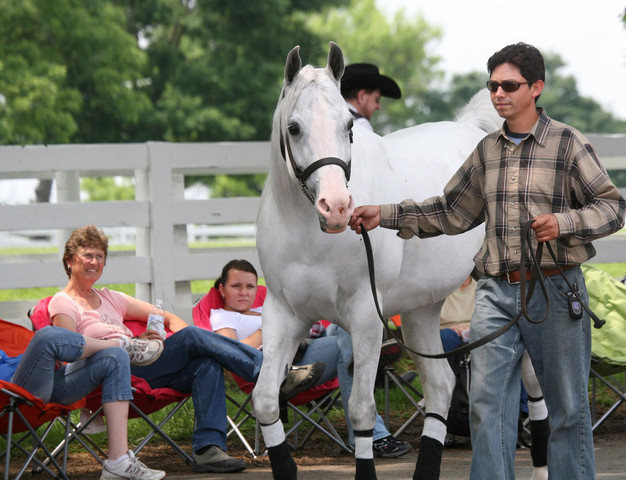 2009 Egyptian Event - Wednesday