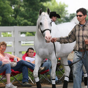 2009 Egyptian Event - Wednesday