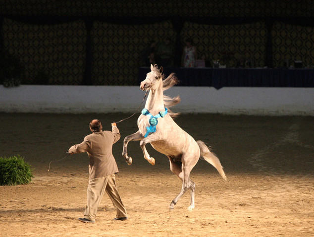 2009 Egyptian Event - Wednesday