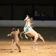 2009 Egyptian Event - Wednesday