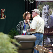 2009 Egyptian Event - Wednesday