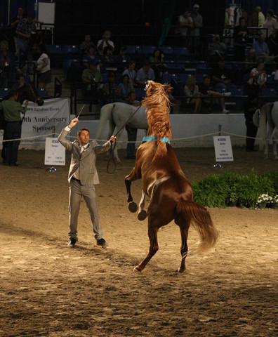 2009 Egyptian Event - Wednesday