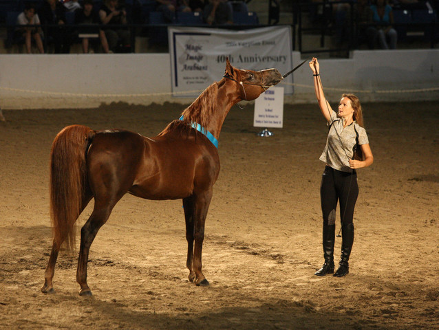 2009 Egyptian Event - Wednesday