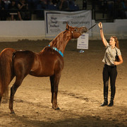 2009 Egyptian Event - Wednesday