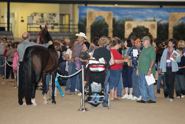 2009 Egyptian Event - Wednesday