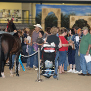 2009 Egyptian Event - Wednesday