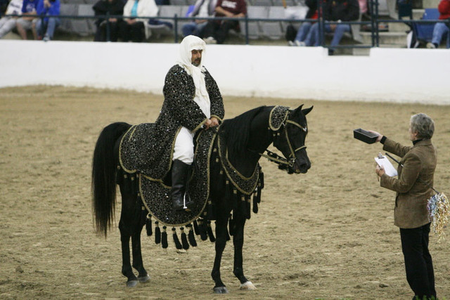 2009 Egyptian Event - Thursday