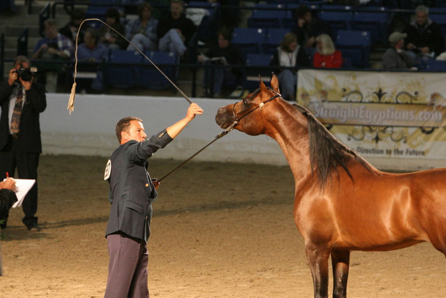 2009 Egyptian Event - Thursday