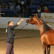 2009 Egyptian Event - Thursday