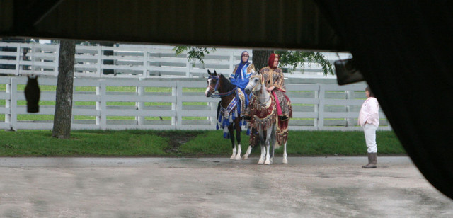 2009 Egyptian Event - Thursday